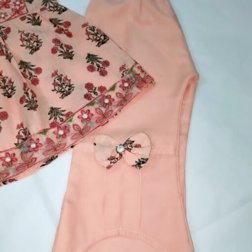 Peach Embroided Floral Frock For Little Girls - Image 5